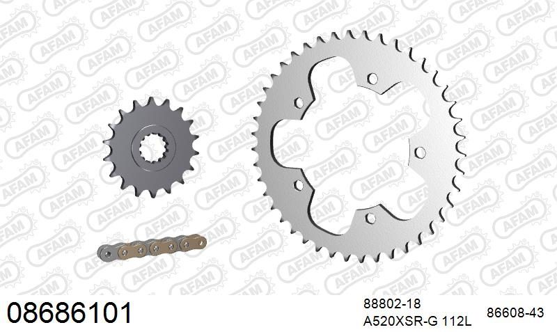 520XSR 112 MRS (RIVET) GOLD & SPROCKETS