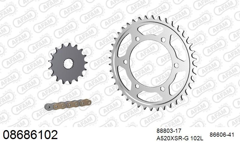 520XSR 102 MRS (RIVET) GOLD & SPROCKETS