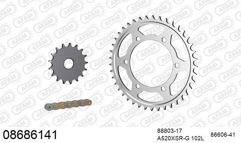 520XSR 102 MRS (RIVET) GOLD & SPROCKETS