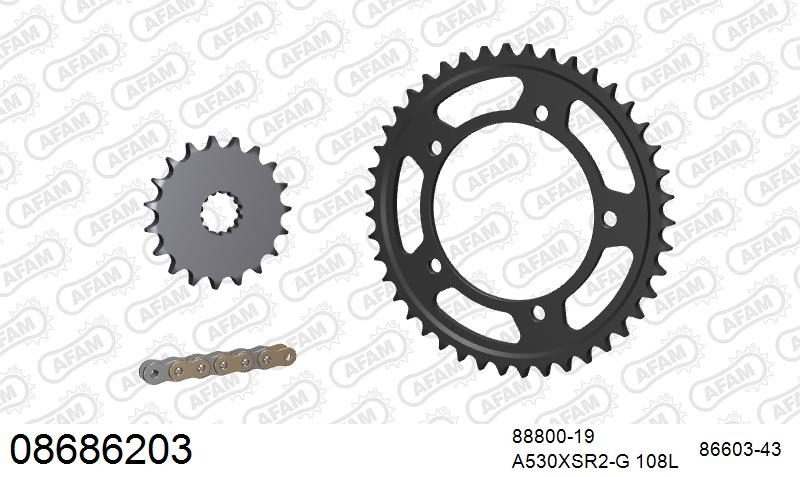 530XSR2 108 MRS (RIVET) GOLD & SPROCKETS