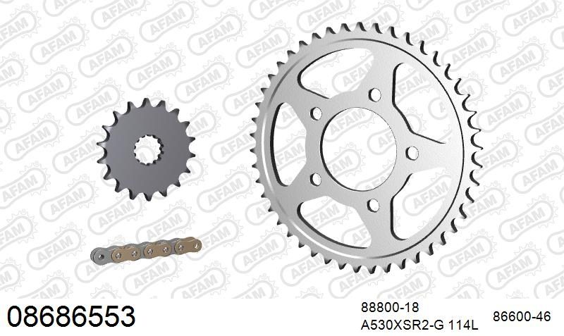 530XSR2 114 MRS (RIVET) GOLD & SPROCKETS