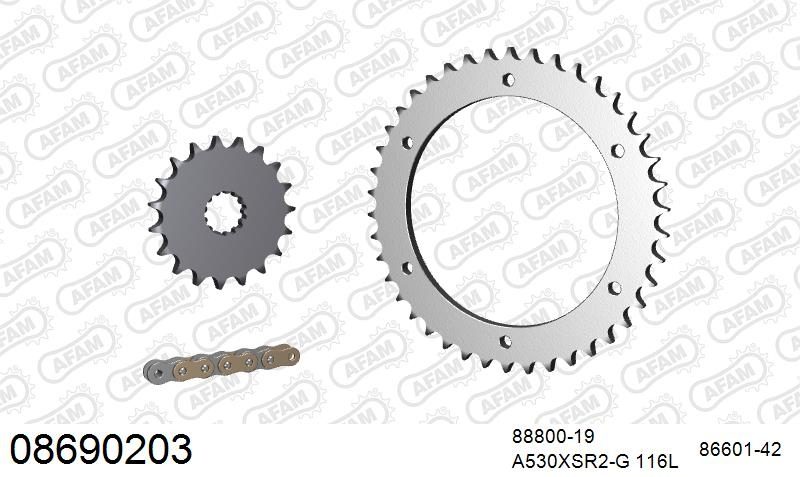 530XSR2 116 MRS (RIVET) GOLD & SPROCKETS