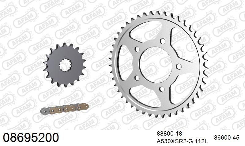 530XSR2 112 MRS (RIVET) GOLD & SPROCKETS