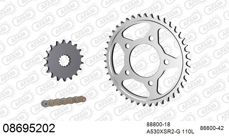 530XSR2 110 MRS (RIVET) GOLD & SPROCKETS