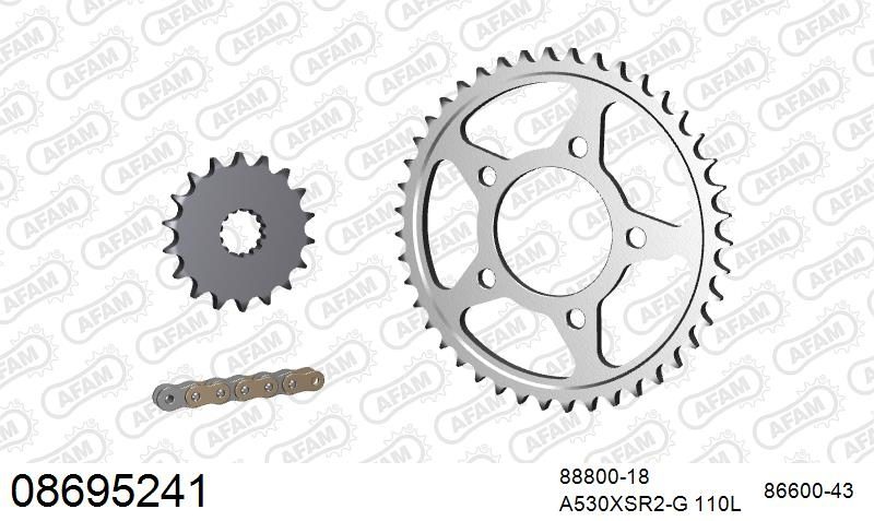 530XSR2 110 MRS (RIVET) GOLD & SPROCKETS