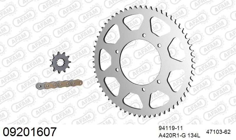 420R1 134 AR (CLIP) GOLD & SPROCKETS