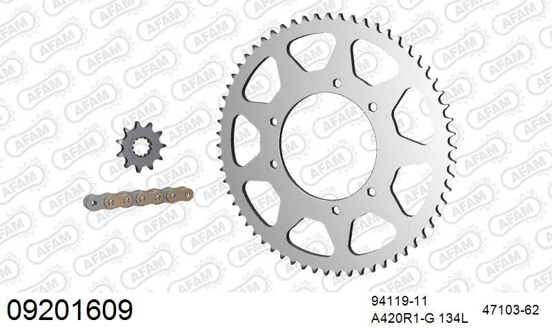 420R1 134 AR (CLIP) GOLD & SPROCKETS