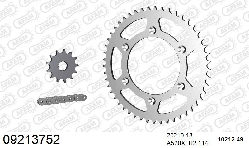 520XRR3 114 ARS (CLIP) GOLD & SPROCKETS