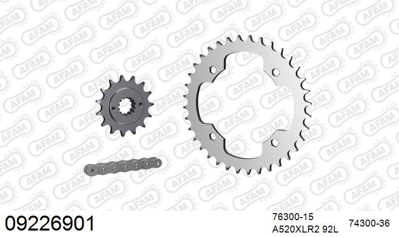 520XRR3 92 ARS (CLIP) GOLD & SPROCKETS