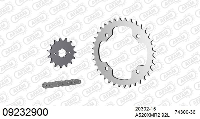 520XRR3 92 ARS (CLIP) GOLD & SPROCKETS