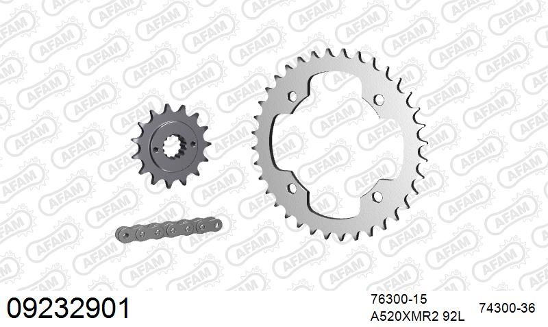 520XRR3 92 ARS (CLIP) GOLD & SPROCKETS