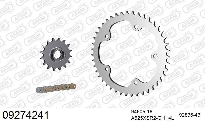 525XSR2 114 MRS (RIVET) GOLD & SPROCKETS