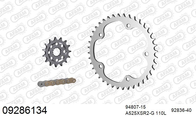 525XSR2 110 MRS (RIVET) GOLD & SPROCKETS