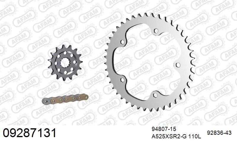 525XSR2 110 MRS (RIVET) GOLD & SPROCKETS