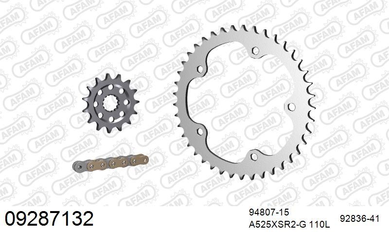 525XSR2 110 MRS (RIVET) GOLD & SPROCKETS