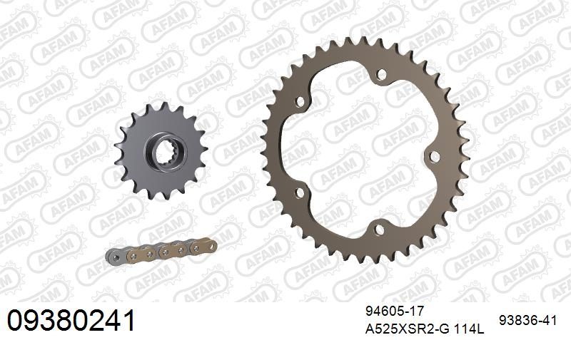 525XSR2 114 MRS (RIVET) GOLD & SPROCKETS