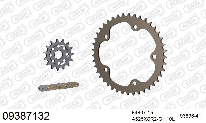 525XSR2 110 MRS (RIVET) GOLD & SPROCKETS