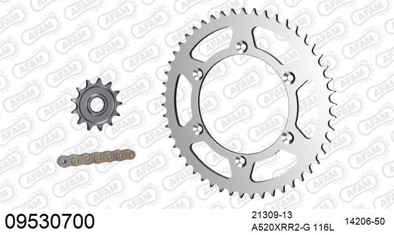 520XRR3 116 ARS (CLIP) GOLD & SPROCKETS