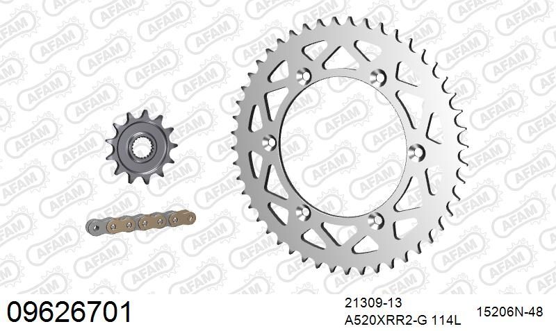 520XRR3 114 ARS (CLIP) GOLD & SPROCKETS