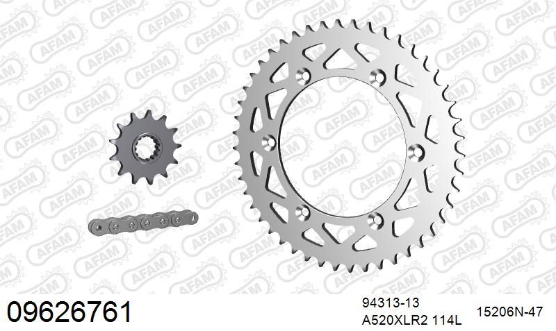 520XRR3 114 ARS (CLIP) GOLD & SPROCKETS