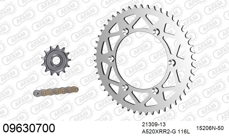 520XRR3 116 ARS (CLIP) GOLD & SPROCKETS