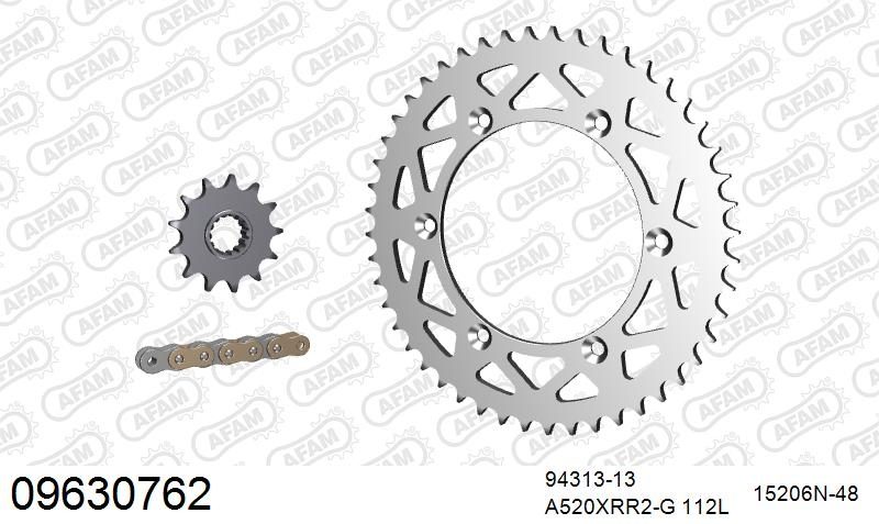 520XRR3 112 ARS (CLIP) GOLD & SPROCKETS