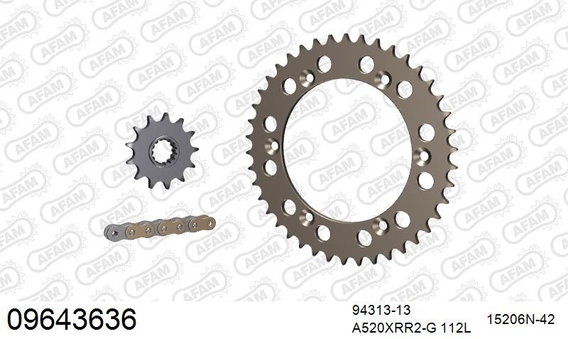 520XRR3 112 ARS (CLIP) GOLD & SPROCKETS