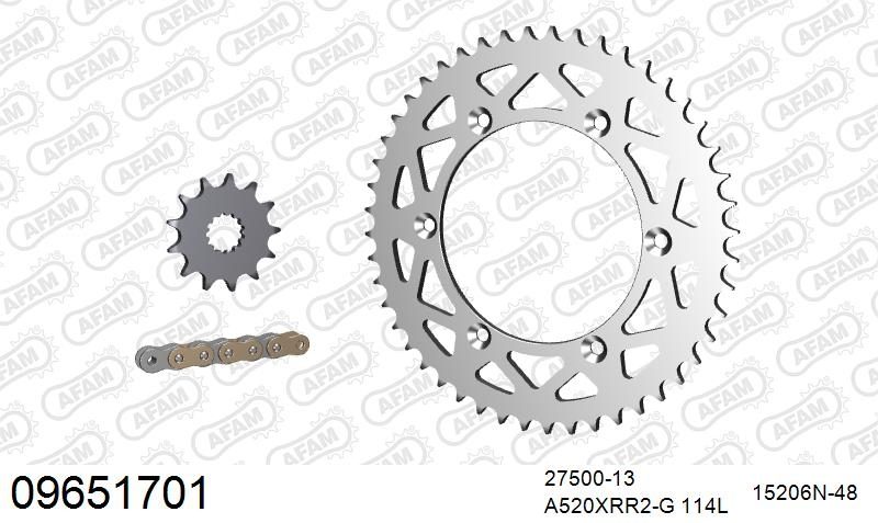 520XRR3 114 ARS (CLIP) GOLD & SPROCKETS