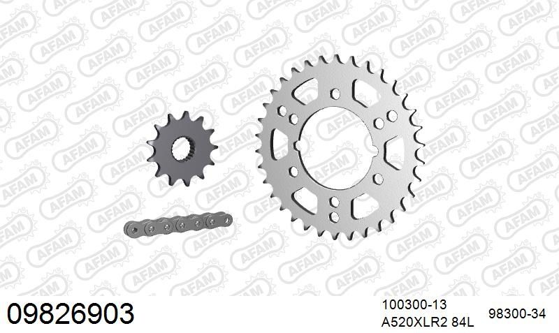520XRR3 84 ARS (CLIP) GOLD & SPROCKETS