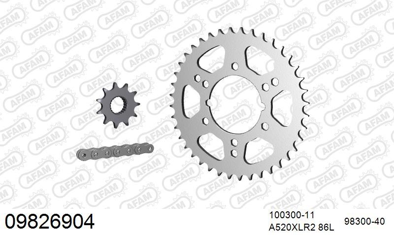 520XRR3 86 ARS (CLIP) GOLD & SPROCKETS