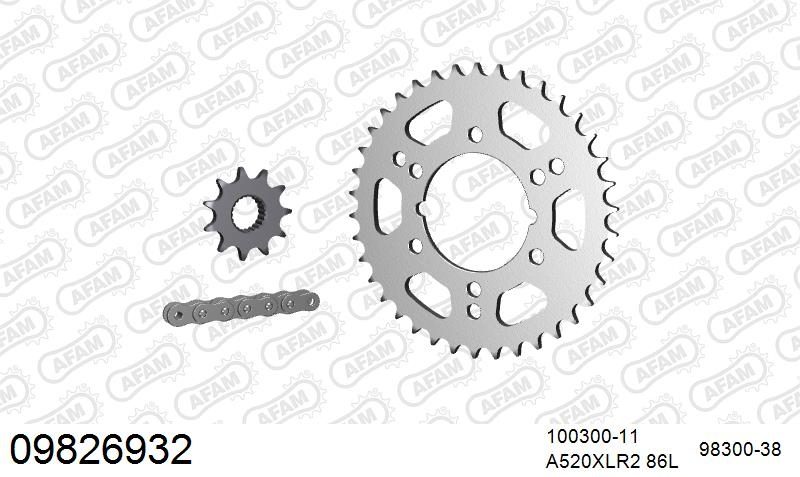 520XRR3 86 ARS (CLIP) GOLD & SPROCKETS