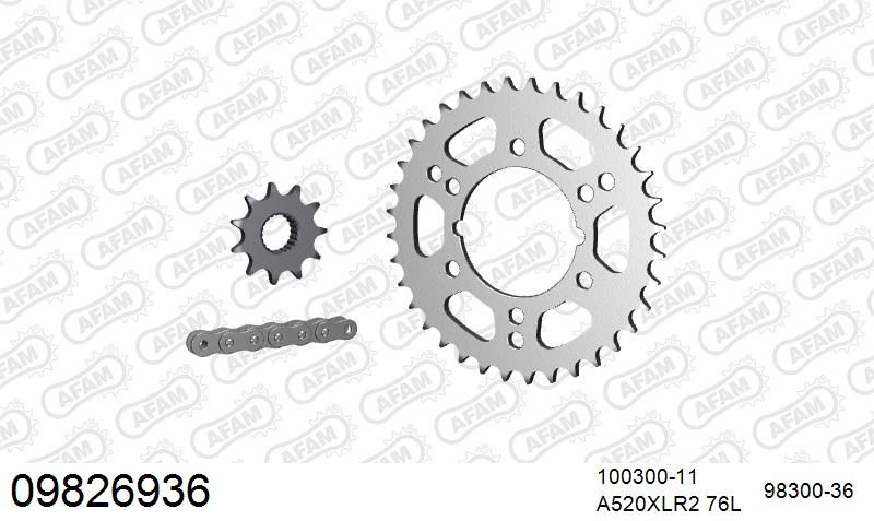 520XRR3 76 ARS (CLIP) GOLD & SPROCKETS