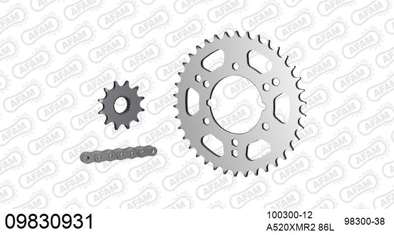 520XRR3 86 ARS (CLIP) GOLD & SPROCKETS