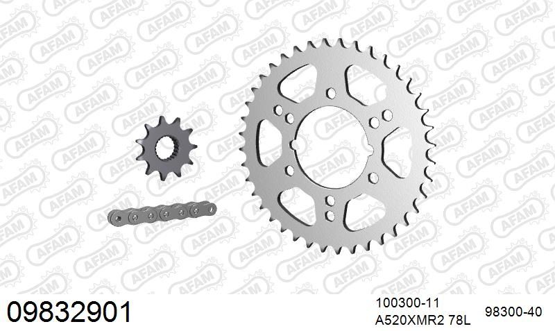 520XRR3 78 ARS (CLIP) GOLD & SPROCKETS