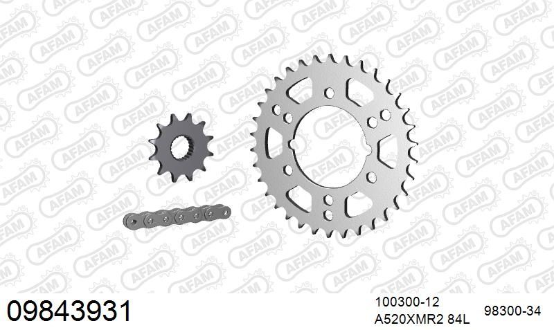 520XRR3 84 ARS (CLIP) GOLD & SPROCKETS