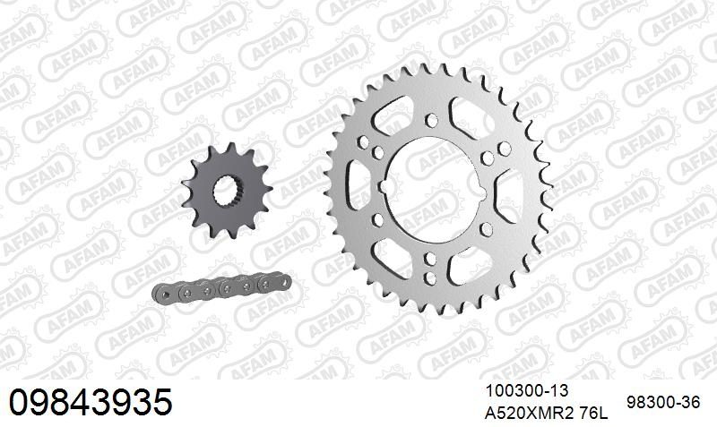 520XRR3 76 ARS (CLIP) GOLD & SPROCKETS