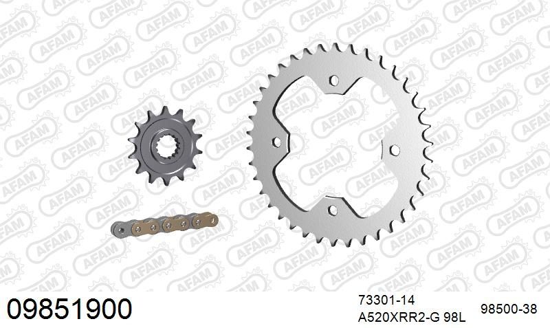 520XRR3 98 ARS (CLIP) GOLD & SPROCKETS