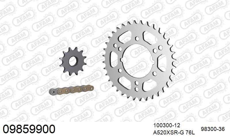 520XRR3 76 ARS (CLIP) GOLD & SPROCKETS