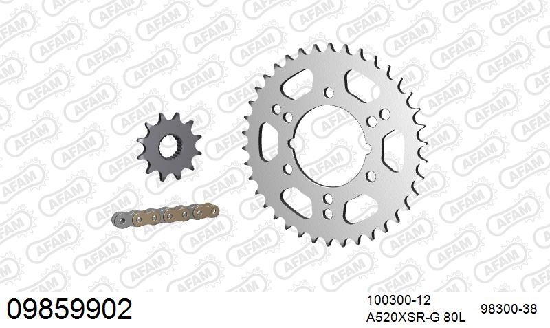 520XRR3 80 ARS (CLIP) GOLD & SPROCKETS