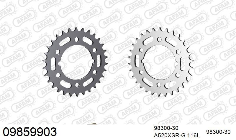 520XRR3 116 ARS (CLIP) GOLD & SPROCKETS