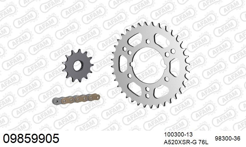 520XRR3 76 ARS (CLIP) GOLD & SPROCKETS
