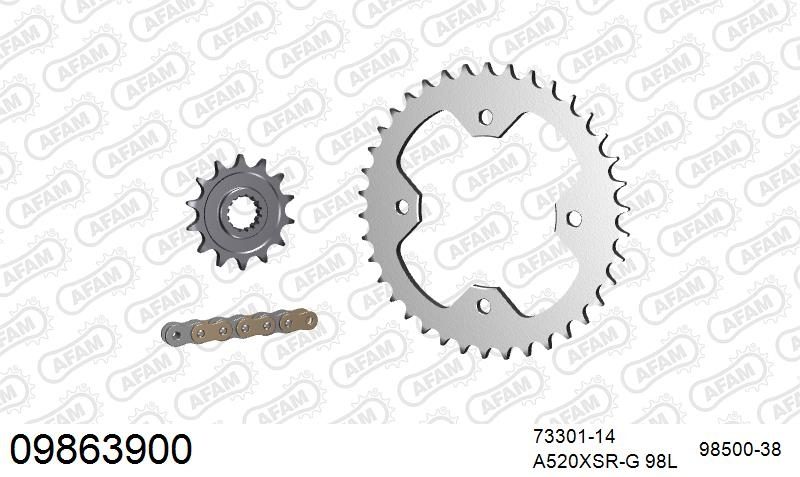 520XRR3 98 ARS (CLIP) GOLD & SPROCKETS