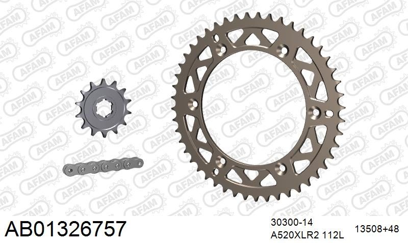 520XRR3 112 ARS (CLIP) GOLD & SPROCKETS