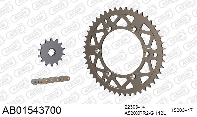 520XRR3 112 ARS (CLIP) GOLD & SPROCKETS
