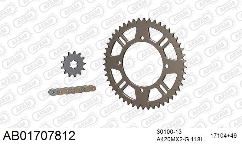 420MX2 118 AR (CLIP) GOLD & SPROCKETS