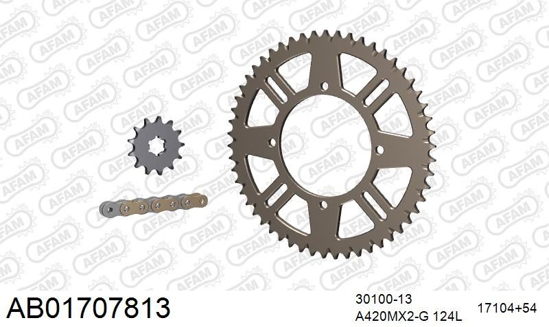 420MX2 124 AR (CLIP) GOLD & SPROCKETS