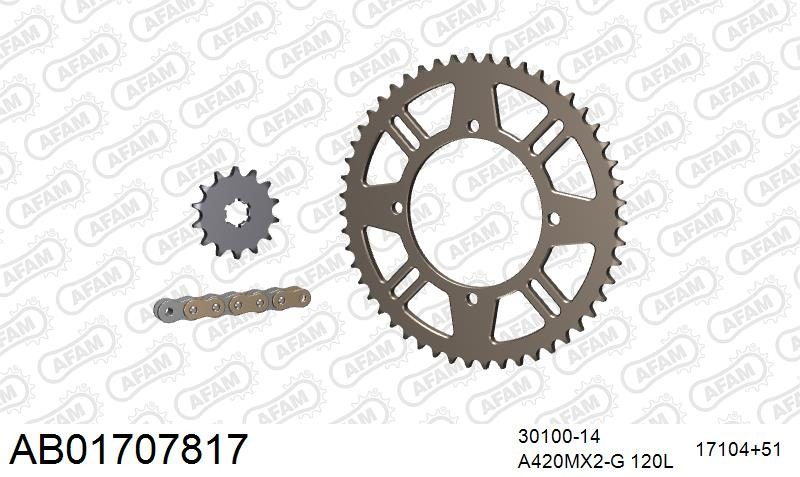420MX2 120 AR (CLIP) GOLD & SPROCKETS