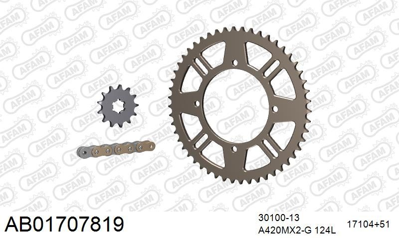 420MX2 124 AR (CLIP) GOLD & SPROCKETS