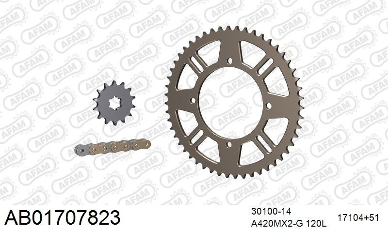 420MX2 120 AR (CLIP) GOLD & SPROCKETS