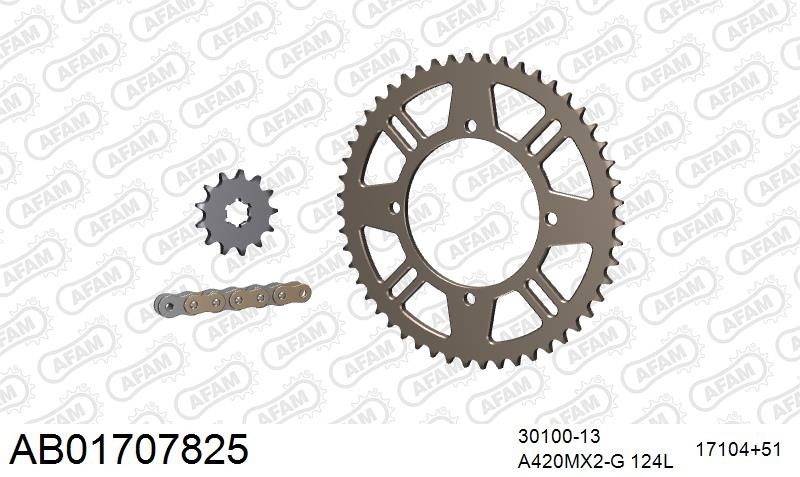 420MX2 124 AR (CLIP) GOLD & SPROCKETS
